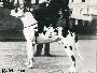 Ch Ajax Von Dem Gilbach