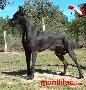 Ch Noche De Garaba