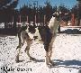 Unusual Des Terres De La Rairie