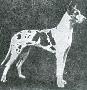 Ajax Von Klausenburg