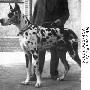 Prinz Von St Anna