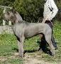 Ch Uxalanda De La Benjamine