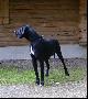 A Black Queen Vom Waldfrieden