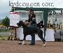 Ank Des Geants Du Bocage