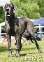 Quendoline Von Blue Ground