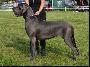 Quendoline Von Blue Ground