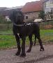 Kunigunde Von Schlesien