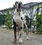Noris von der Ofnethhle