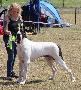Ch Lord vun den Schmussidogs