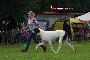 Ch Lord vun den Schmussidogs