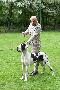 Jet T`aime Halil van`t Dudo Land