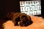 Germany`s Next Topmodel by Heidi vom Hause der Herzbuben
