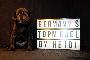 Germany`s Next Topmodel by Heidi vom Hause der Herzbuben