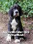A Heartbreaker vom Kennelbach